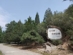 -白水寺森林公园
