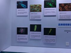 -中国杭州低碳科技馆