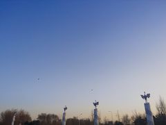 -丁香湖公园