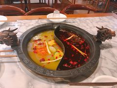 -杨家火锅(国美店)