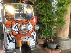 -清迈夜间动物园