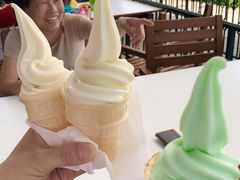 -迪茵湖田家舍生态农场