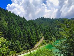 -武陵山森林公园