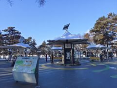 -长春市南湖公园