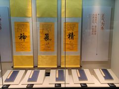 -广东中医药博物馆