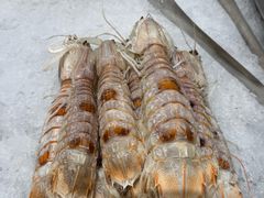 -蓝珊甄选海鲜自助·火锅大排档(近阿那亚店)