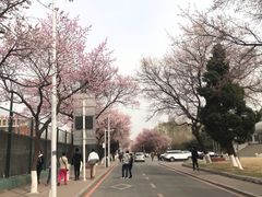 -吉林大学(南岭校区)