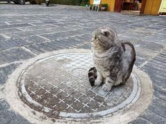 -宝通禅寺