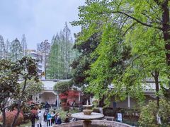 -南京中国近代史遗址博物馆(南京总统府)