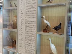 -下渚湖国家湿地公园科普馆