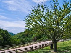 -神户市立六甲山牧场