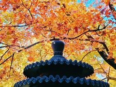 -香山公园-东宫门售票处