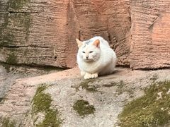 -杭州野生动物世界