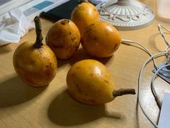 -雅克雅思(南湖东路店)