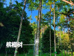 -呀诺达热带雨林