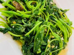 -日日香卤鹅饭店·澄海狮头鹅(澄海店)