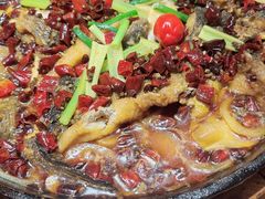 -老板恋上鱼(恒隆广场店)