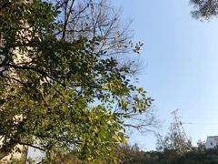 -铁路文化公园