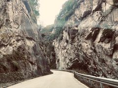 -黑河国家森林公园