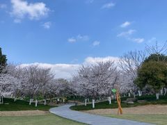 -径山花海