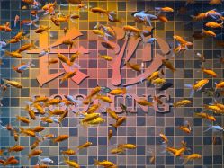 -Zoolung Zoolung动物主题公园(海信广场店)