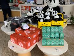 零售区-熊猫邮局(少城店)