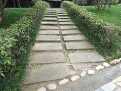 -神仙树公园