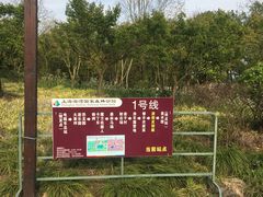 -上海海湾国家森林公园