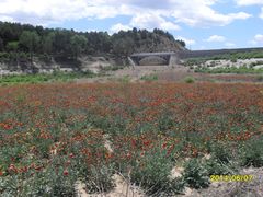 景点-唐指山风景区