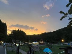 -武陵山森林公园