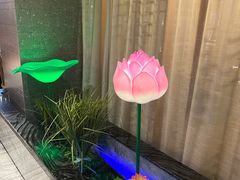 -不倒翁·安徽名菜楼(步行街店)