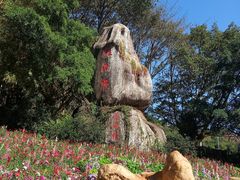-雁南飞茶田景区