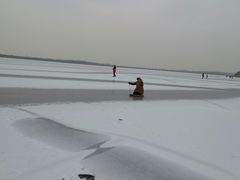 -丁香湖公园