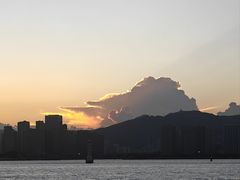 -荣誉海鲜酒楼(海湾店)