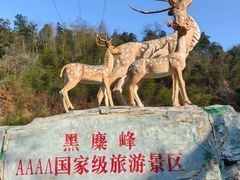 -长沙黑麋峰国家森林公园