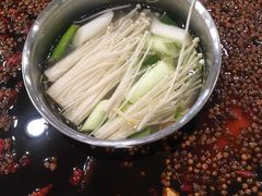 -朱氏胖子烂火锅(洪崖洞店)