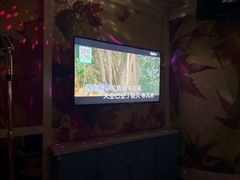 -金青果甄选KTV(劳动公园店)