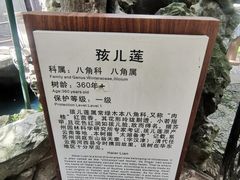 -东山雕花楼