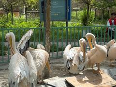 -水上乐园·欢乐世界