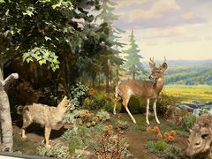 -陕西自然博物馆