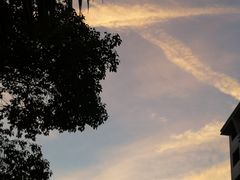 环境优美-浙江大学(玉泉校区)