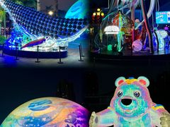 -海合安成都极地海洋公园