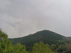 -福顺祥大盘鸡(临潼店)