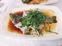 香葱蒸鲈鱼-朱仔记食府(江南大道店)