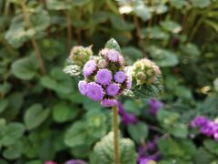 -杭州城北体育公园