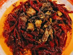 -柴窝堡22号辣子鸡·传承新疆菜