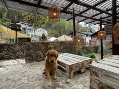 -MOJ coffee(瓯海泽雅水碓坑店)