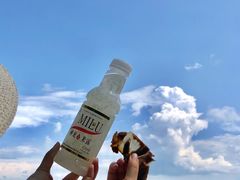 -顺城金记卤鸡·清真