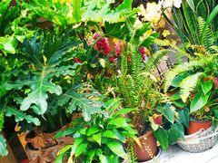 餐具摆设-春暖花开(西溪店)