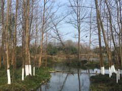 -桤木河湿地公园